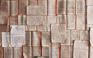 Akademik w Poczdamie